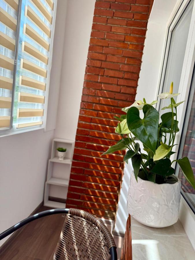 Anais Central Apartment - B&B Topliţa