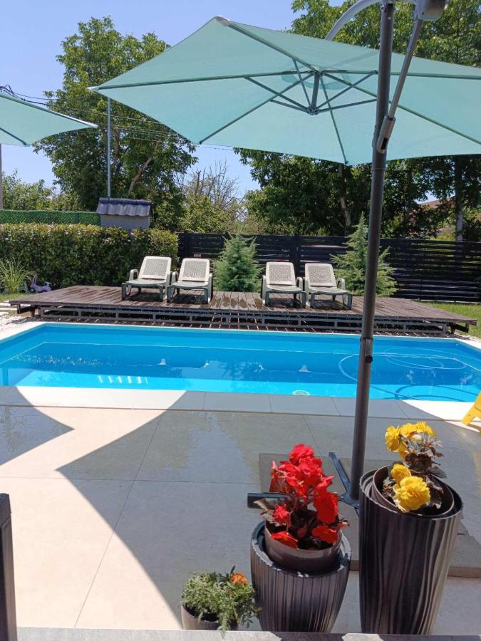 MARINA HOUSE pool & garden - B&B Belgrade