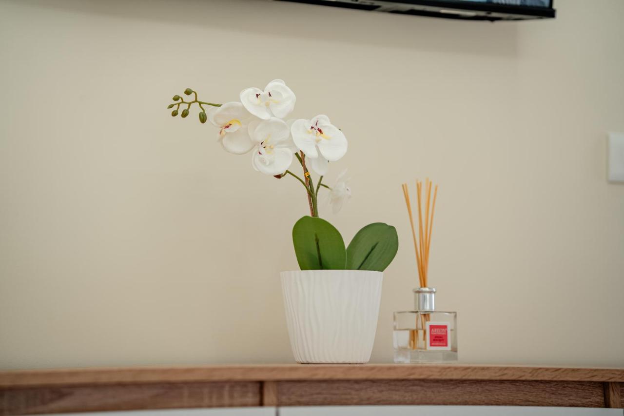 Superior Studio
