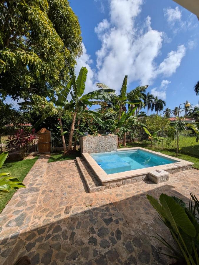 Casa los Mangos Private pool 150 m from the beach - B&B Las Galeras