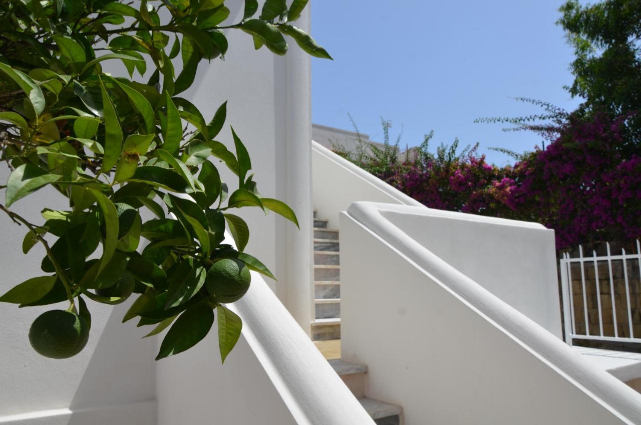 Asterias Villa Mazzella, Orsa Maggiore Appartament - B&B Procida