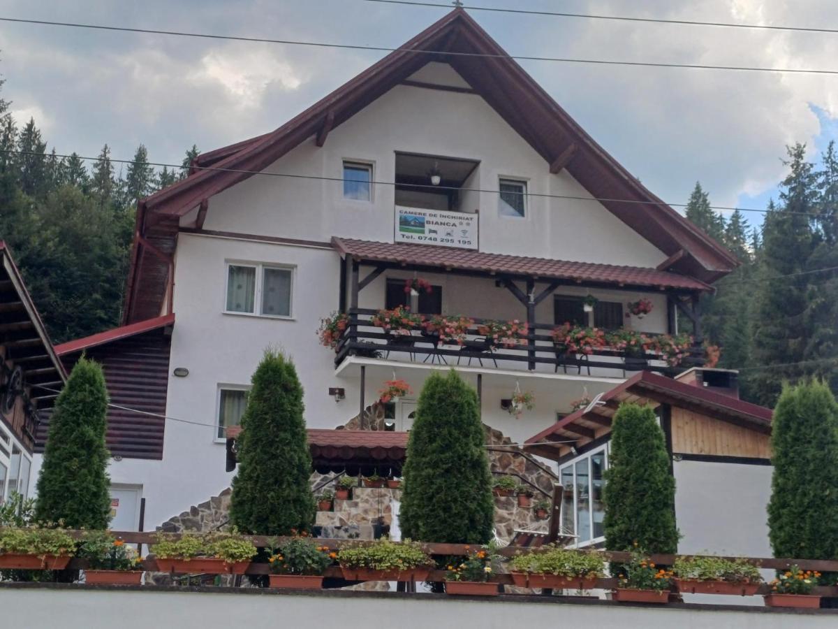 Cabana Bianca - B&B Arieşeni