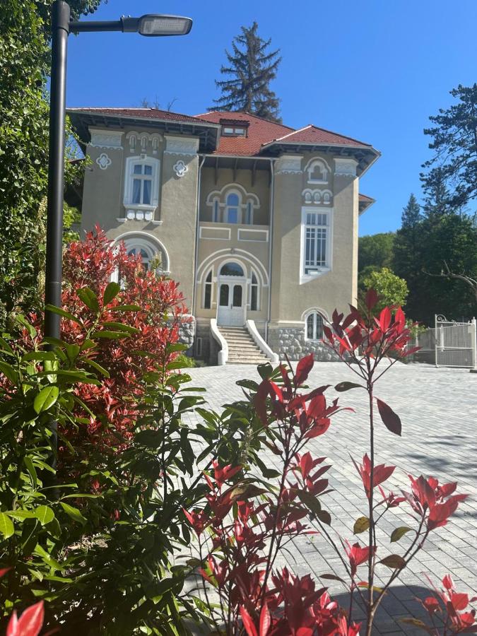 Vila Popovici - B&B Prajila