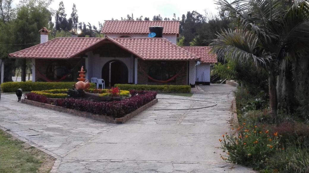 Finca Villa Patricia - B&B