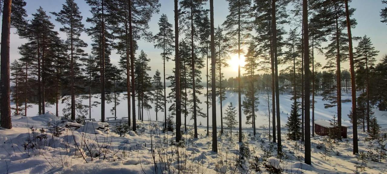 Villa Bagari, Niemenkartano - B&B Kontiolahti
