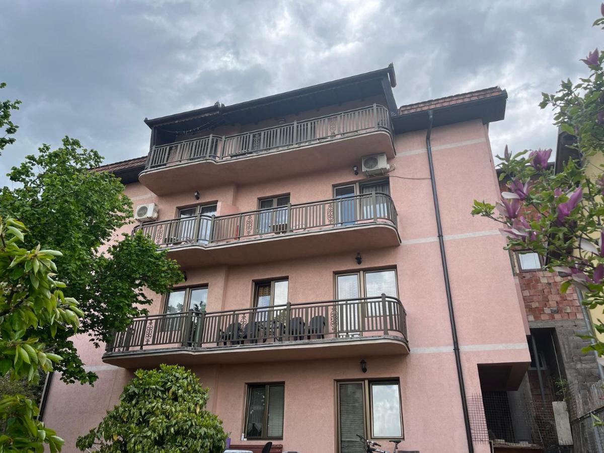 Queen Apartmani - Bed and Breakfast Soko Banja