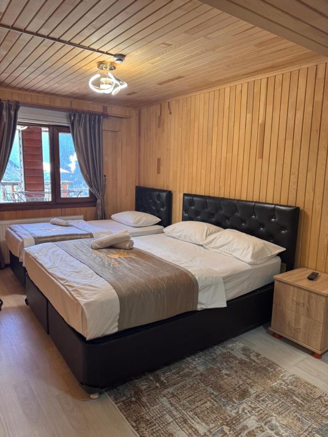 Apartment - Erdgeschoss