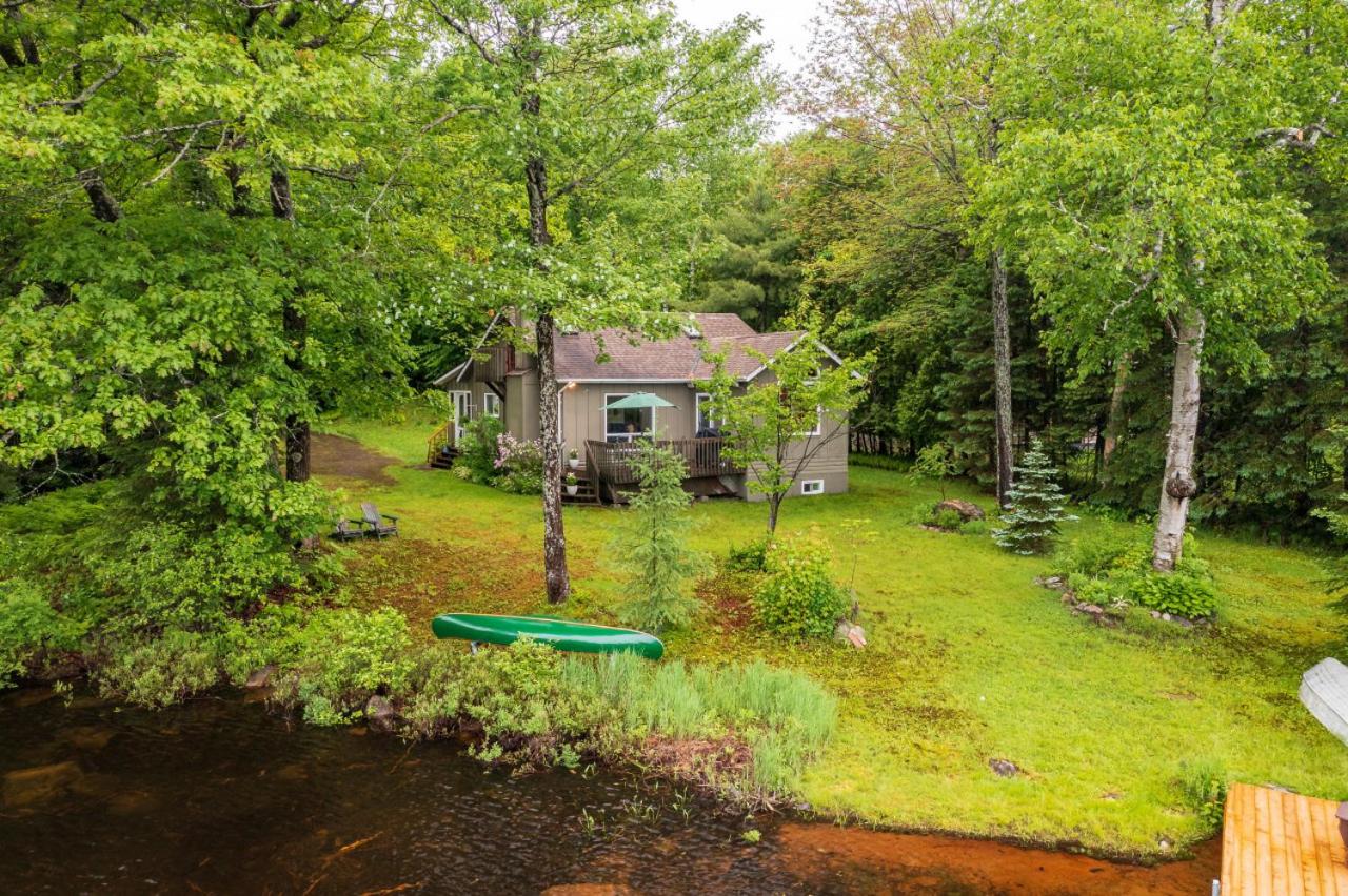 Bear Essentials Hideaway - B&B Huntsville