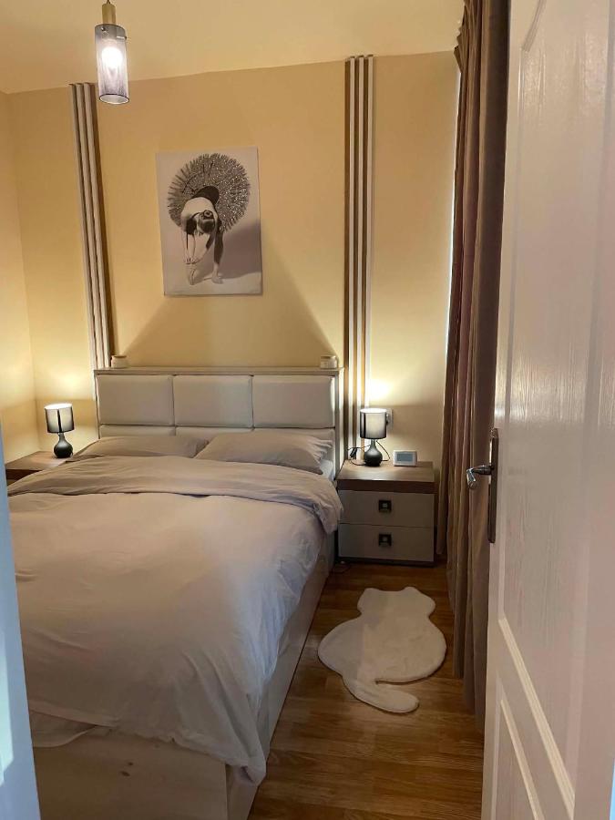 Confort Apartament - B&B Floreşti