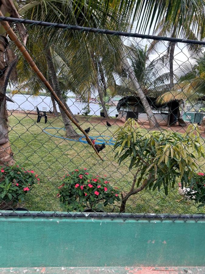 Lagoon View Stay in Negombo - B&B Negombo