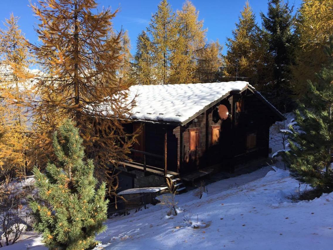 Chalet des Mélèzes - B&B Pila