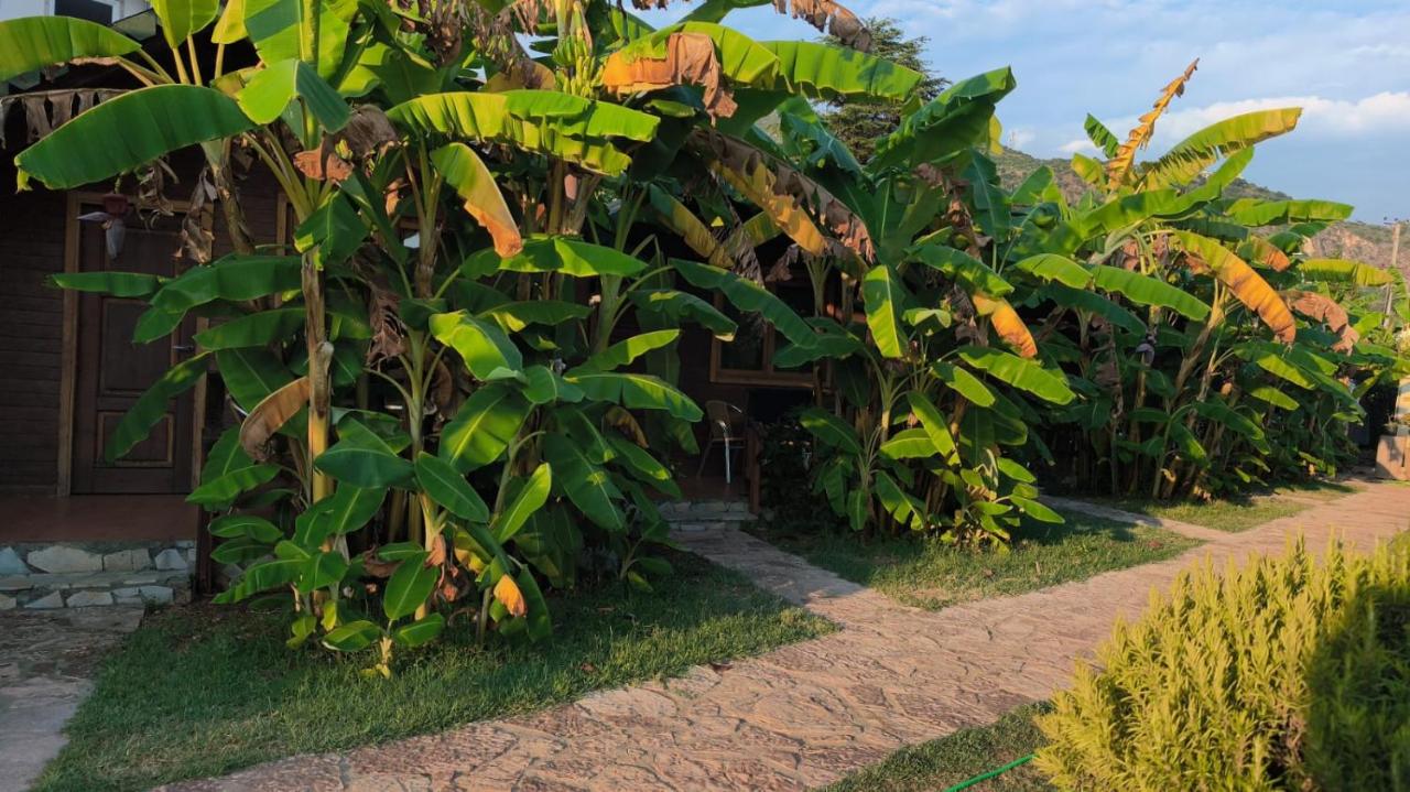 Bungalow - Vue sur Jardin