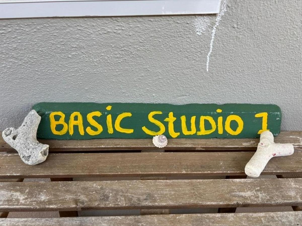 Basic Studio