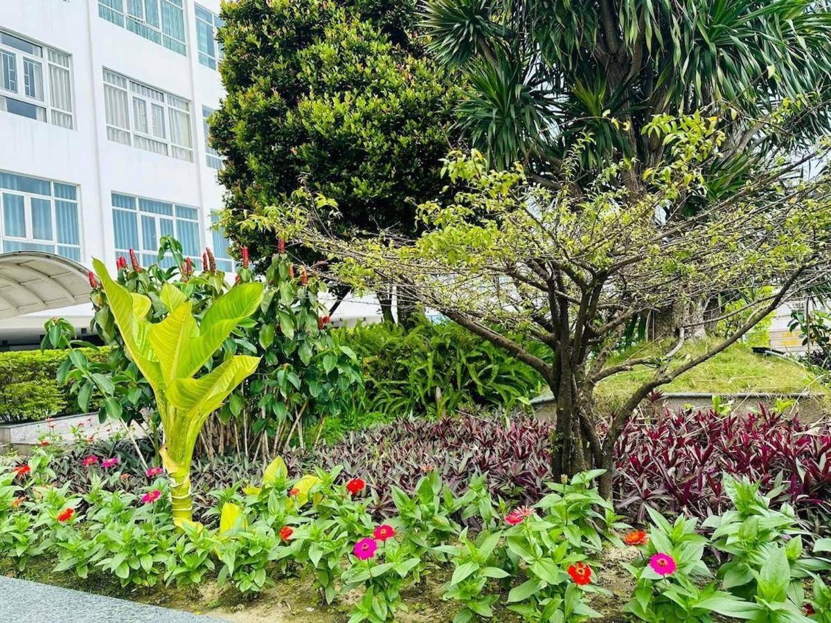 Căn hộ view toàn cảnh thành phố và vịnh Đà Nẵng - B&B Da Nang