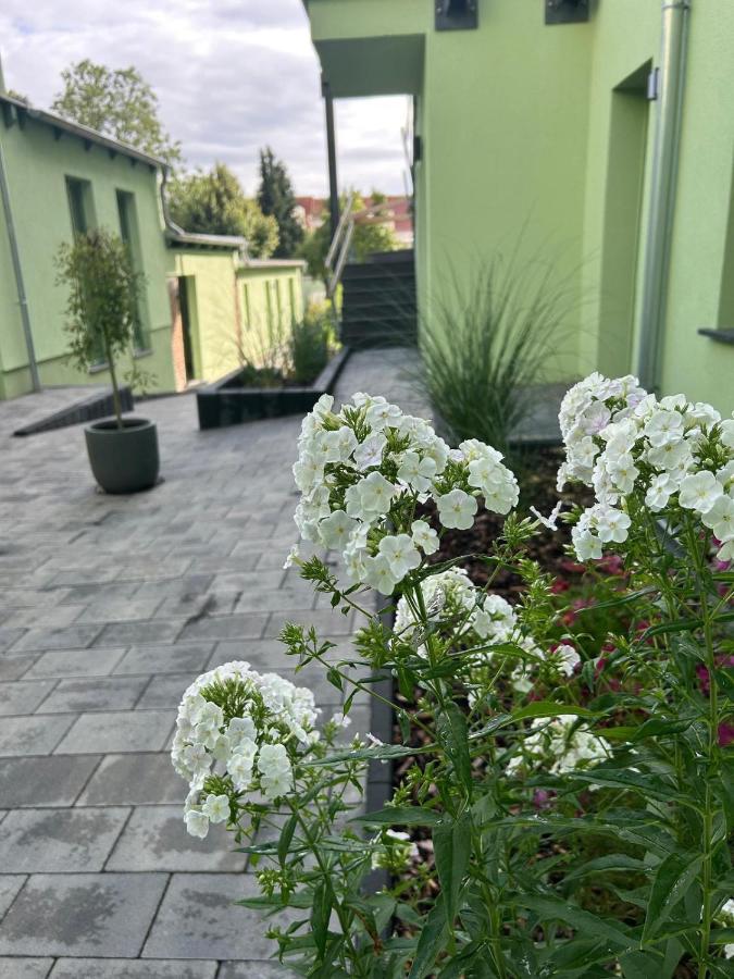 Ruppin Loft im Zentrum von Neuruppin - B&B Neuruppin
