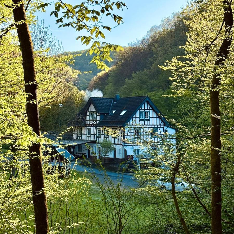 Urlaub in alter Mühle - Natur & Wellness - Bed and Breakfast Neschen