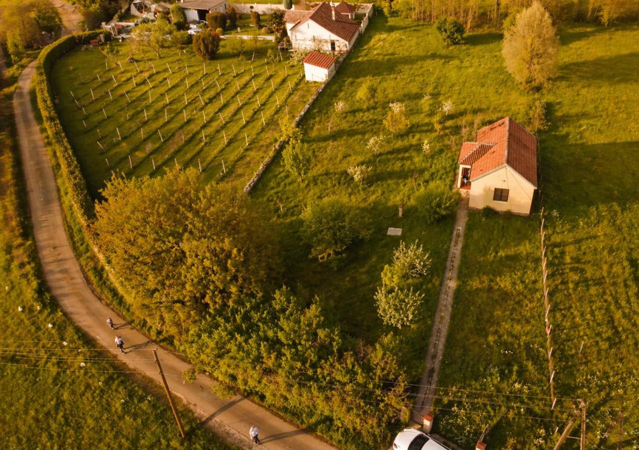 Green Cottage - B&B Podgorica