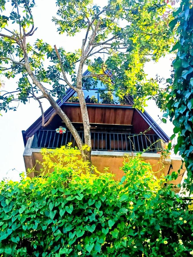 Kandy Cabin - B&B Kandy