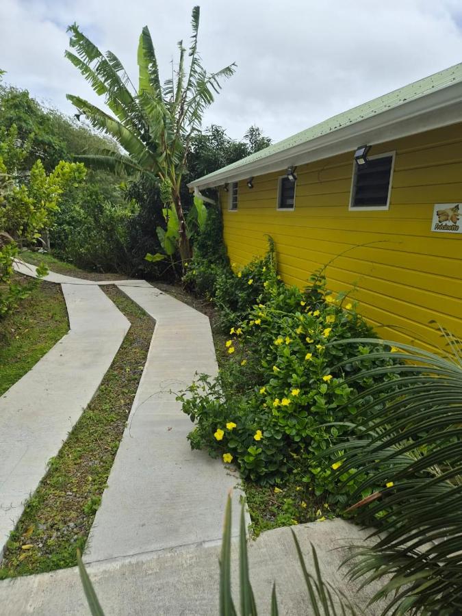 Studio Colibri vue mer - Chambres d'hôtes Morne Acajou