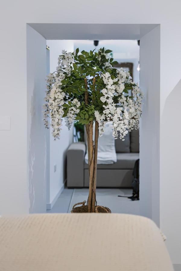 Casa D'Alex - B&B Coimbra
