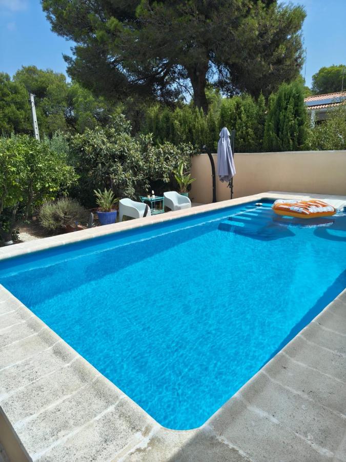 Eco- Refugio Centenario - B&B Sagunto