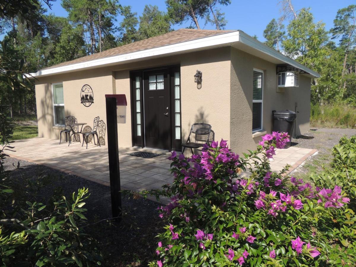 Cozzy Cottage of Weeki Wachee - B&B Brooksville