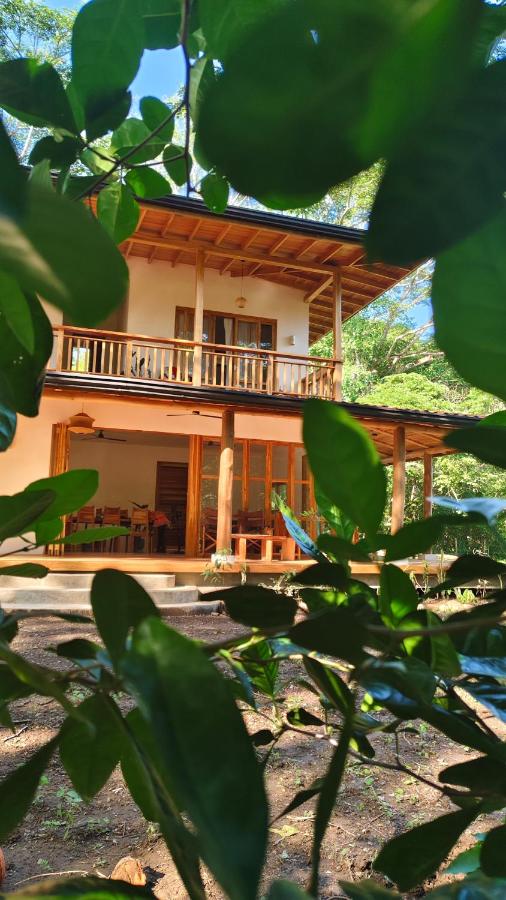 Tierra Viva Ecoproject - B&B Manzanillo