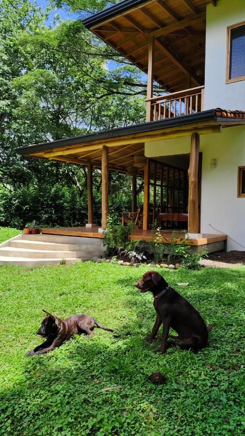 Tierra Viva Ecoproject - B&B Manzanillo