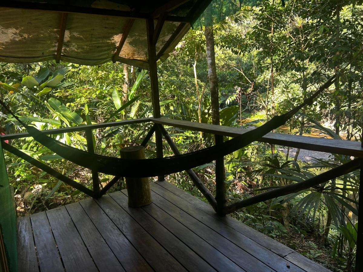 Rio Agujitas Eco Lodge- Island and Corcovado tours - Ferienwohnung Drake Bay