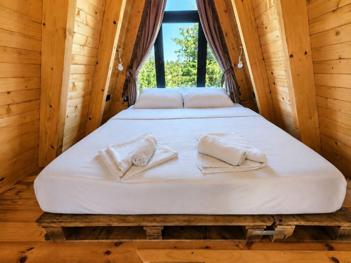 Forest Whisper lux I - B&B Zabljak