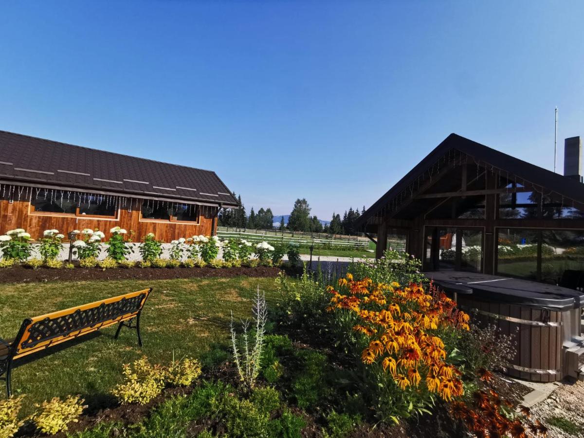 Căsuțele MukSot - Chambres d'hôtes Vatra Dornei