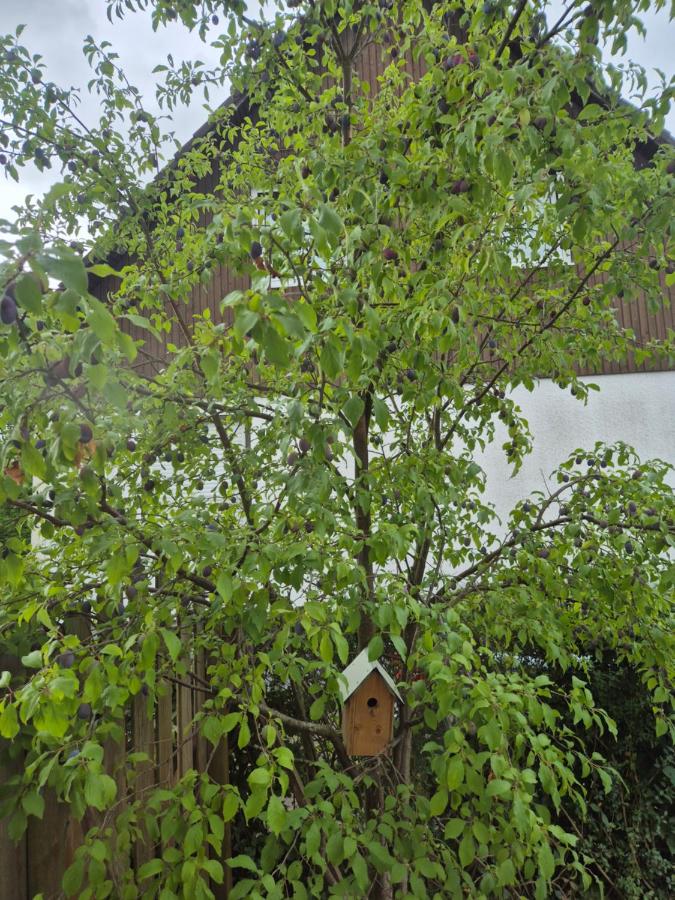 Obersee Haus Apartment - B&B Bielefeld