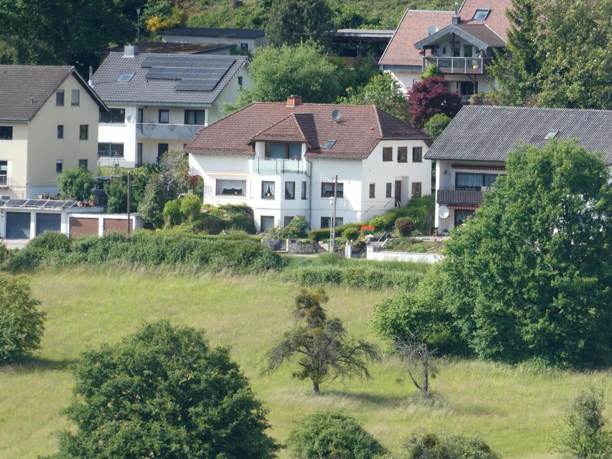 Ferienwohnung Panoramanest - Chambres d'hôtes Neckarsteinach