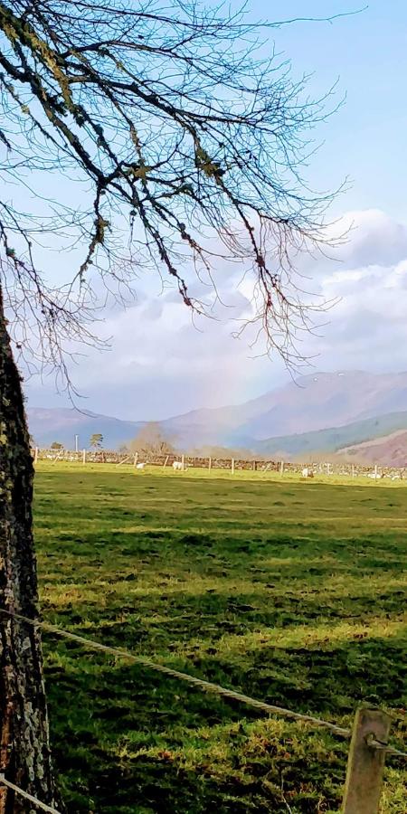 NC500 Stop, Estate Cottage, EV Charging - B&B Muir of Ord