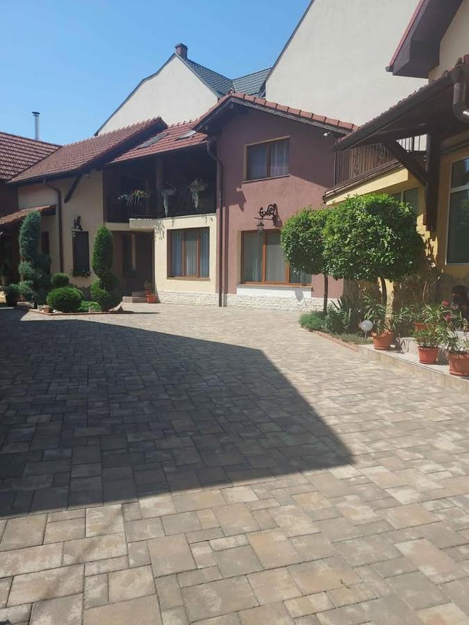 The Cozy Backyard Home- satu Mare - Ferienwohnung Sathmar