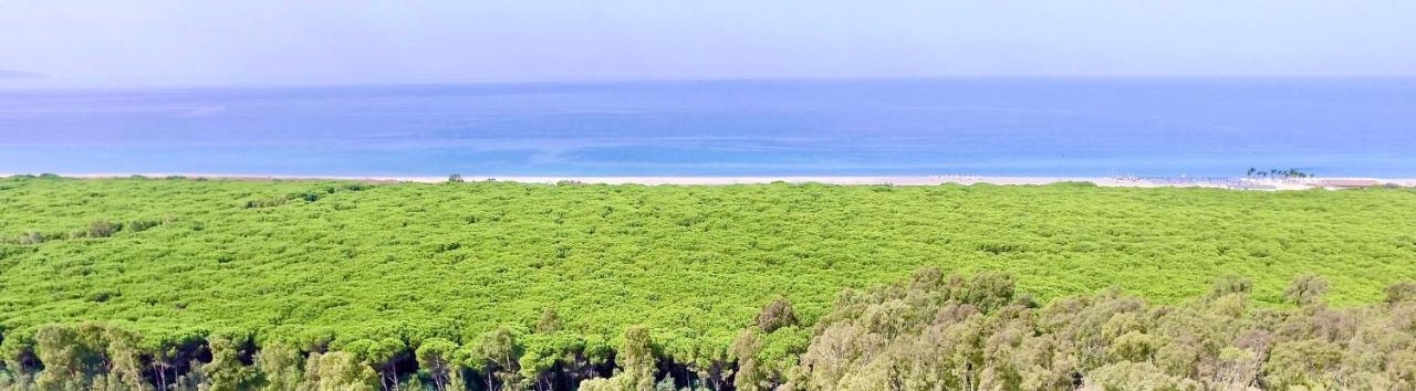 Pizzo Beach Club two bed apartment 86F - Bed and Breakfast Fondaco Vecchio