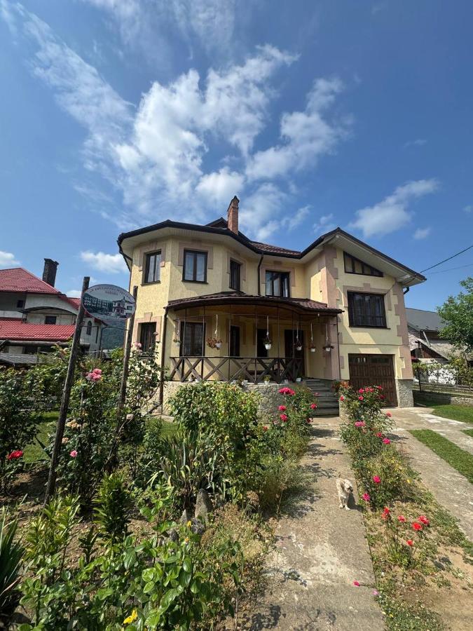 U Gostinnoyi Marichky - B&B Skole