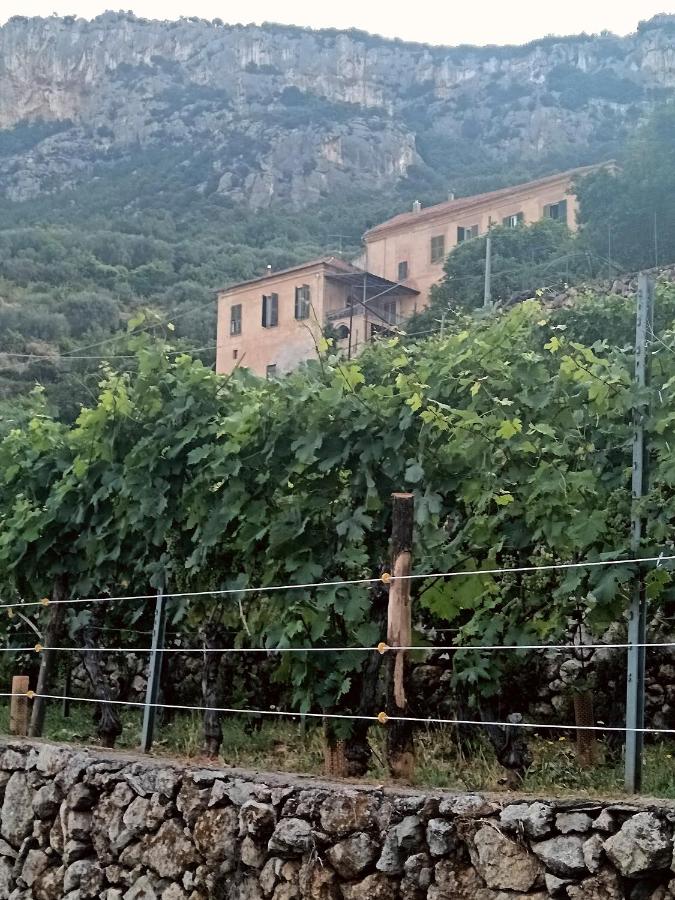 Superperti - appartamento 2 - B&B Finale Ligure