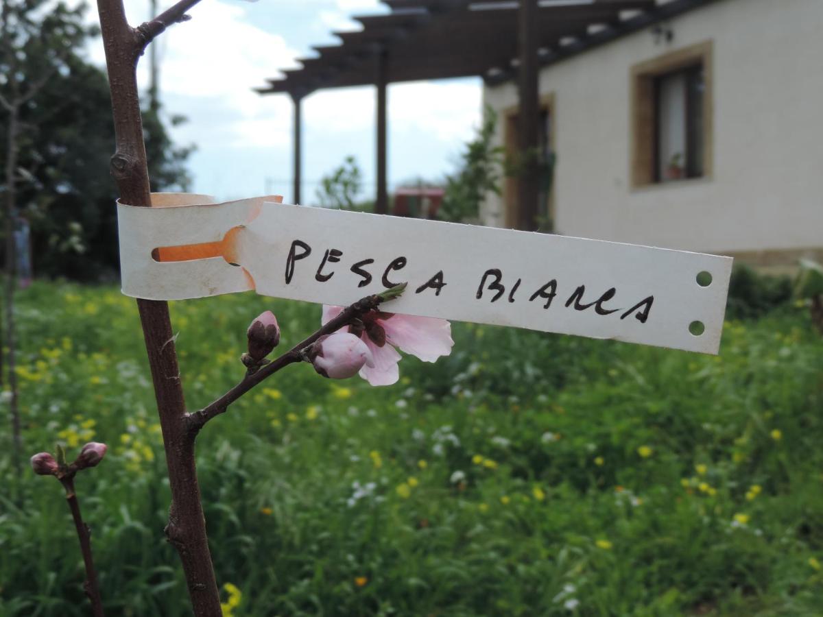 Villa Agape - B&B
