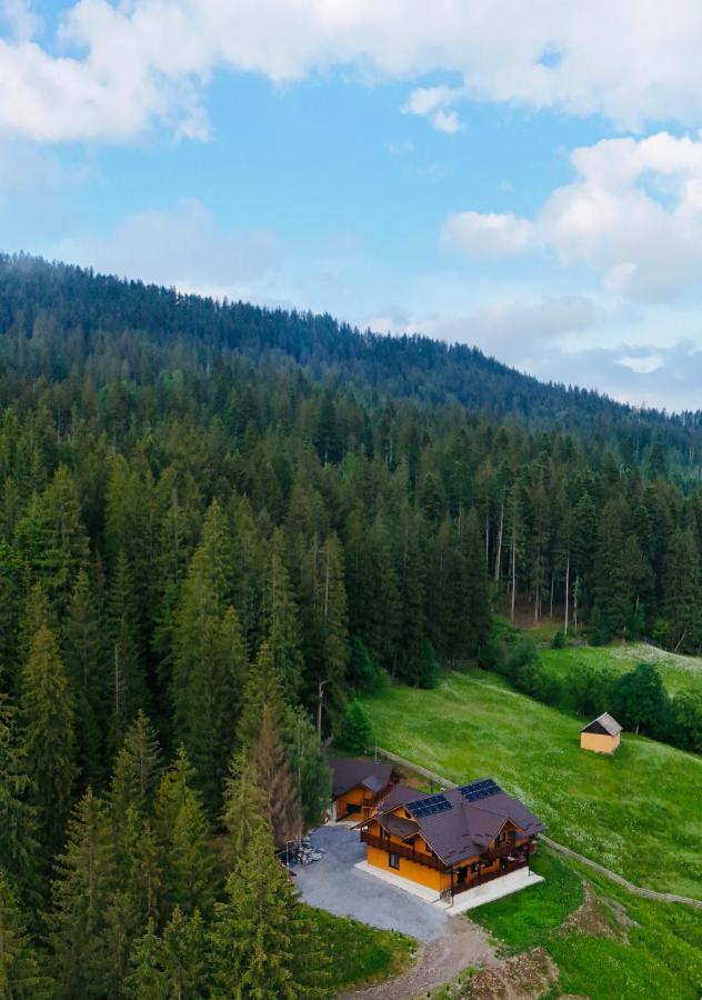 Perla Codrului Secular - B&B Stulpicani