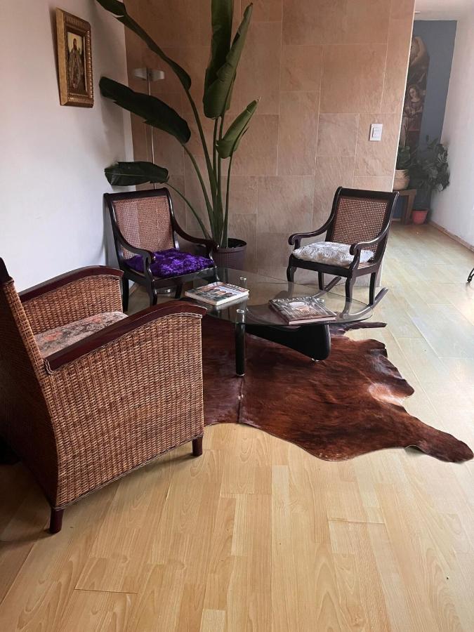 Depa Céntrico más terraza a minutos de palacio de Bellas Artes - B&B Mexico City