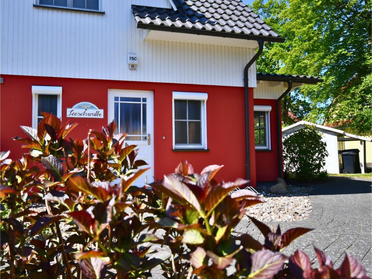 Seeschwälbchen - Ihr Ferienhaus am Ostseestrand - Ferienwohnung Zingst