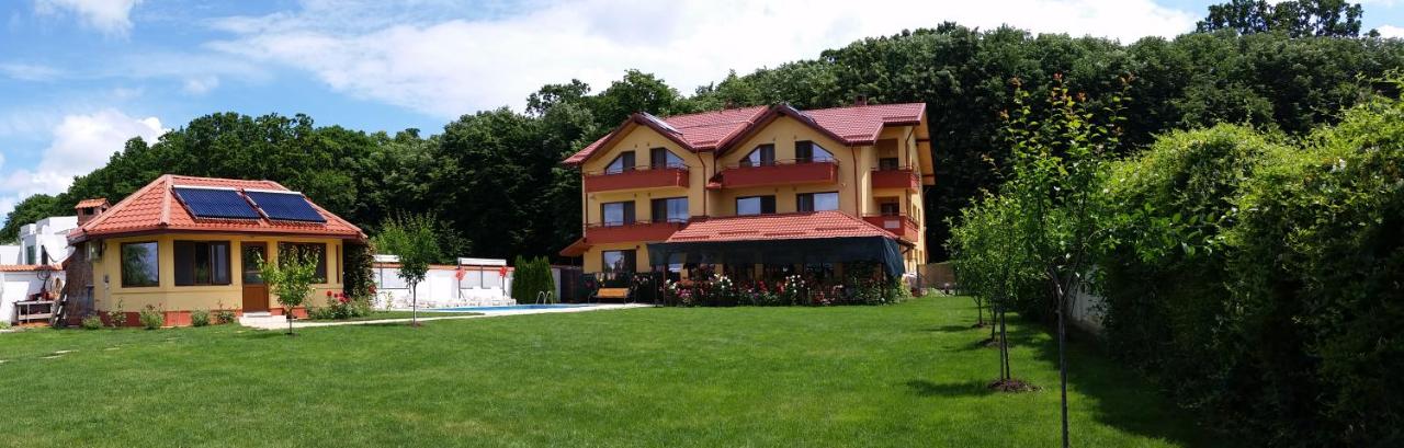 Vila Maria Snagov - B&B Snagov
