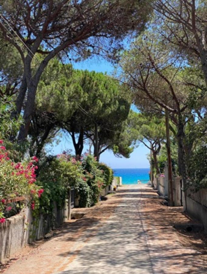 FELICITY - 50m from a stunning, exclusive coastal beach - 4 bedrooms house - Chambres d'hôtes Fort Village