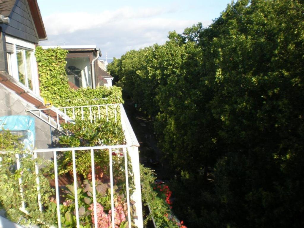 City-Dachapartment Mainz - B&B Magonza