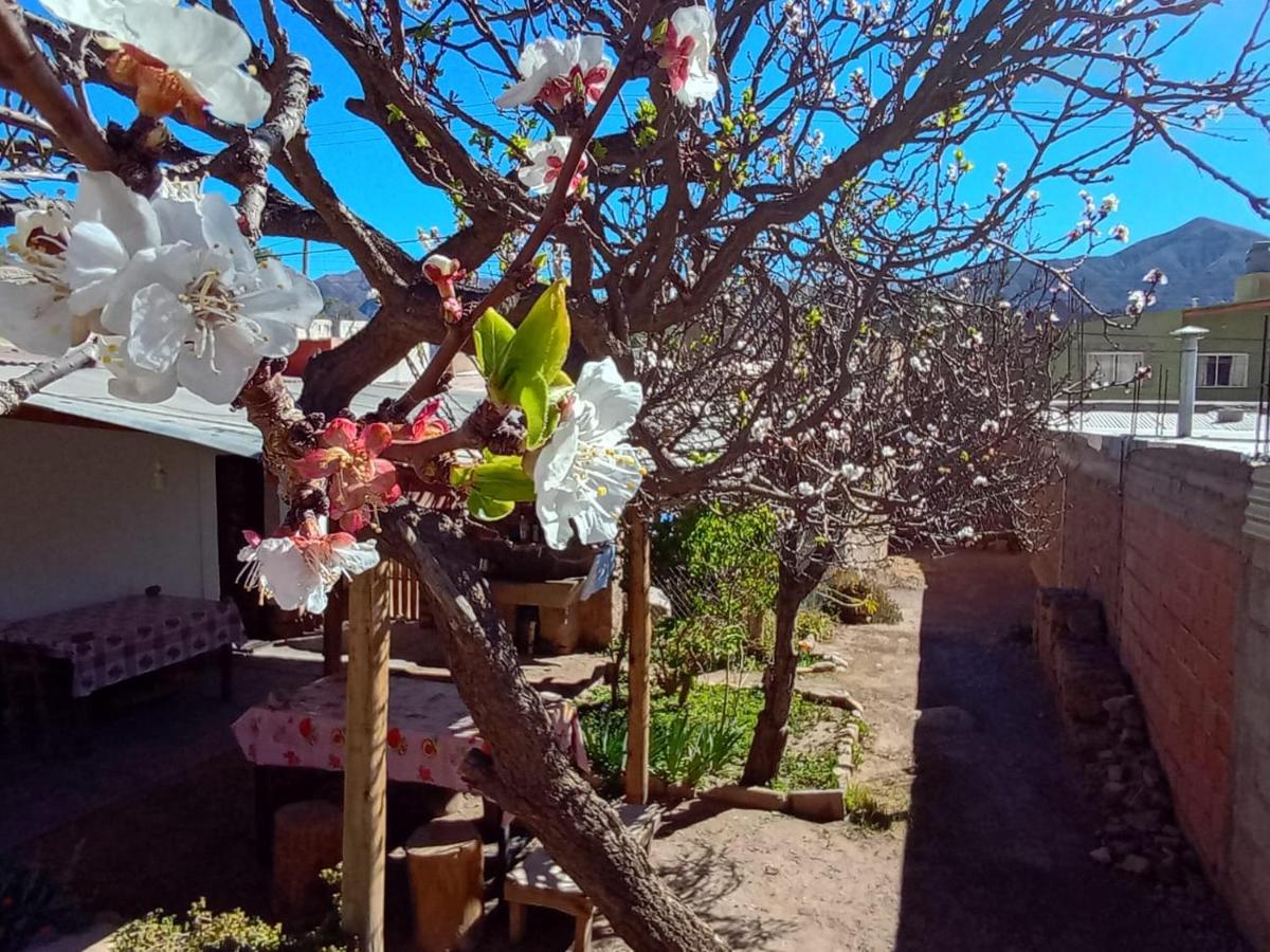 Hospedaje EL Abra - Bed and Breakfast Tilcara