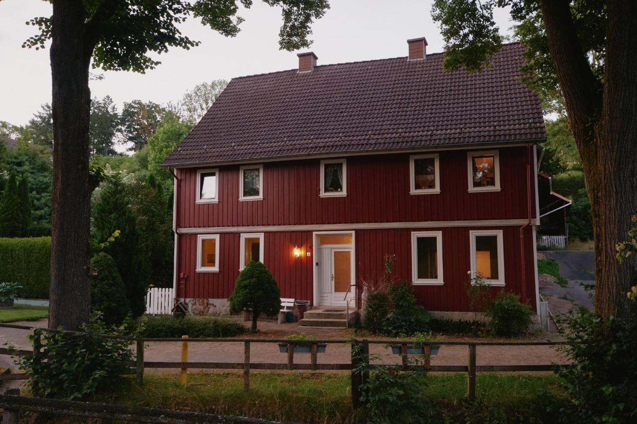 Cozy country house apartment in the Harz Mountains - B&B Gittelde