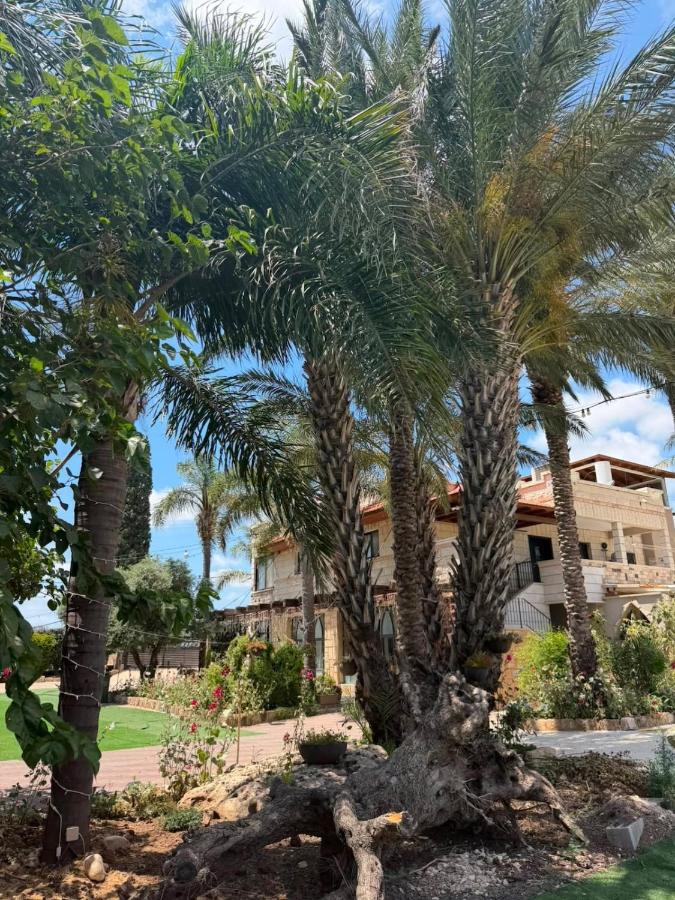 Elegant Villa with Jacuzzi & spacious garden - B&B Acri