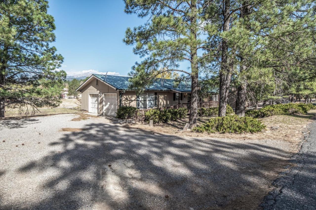 Bogie - B&B Ruidoso