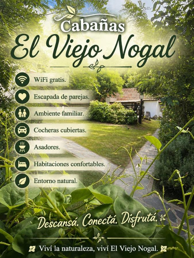 Complejo El Viejo Nogal - B&B Villa General Belgrano